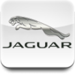 Переходные рамки Jaguar