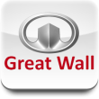 Переходные рамки Great Wall