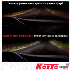 Лампа галогенная Koito Whitebeam H11 12V 55W (100W) 4000K (комплект 2 шт.)